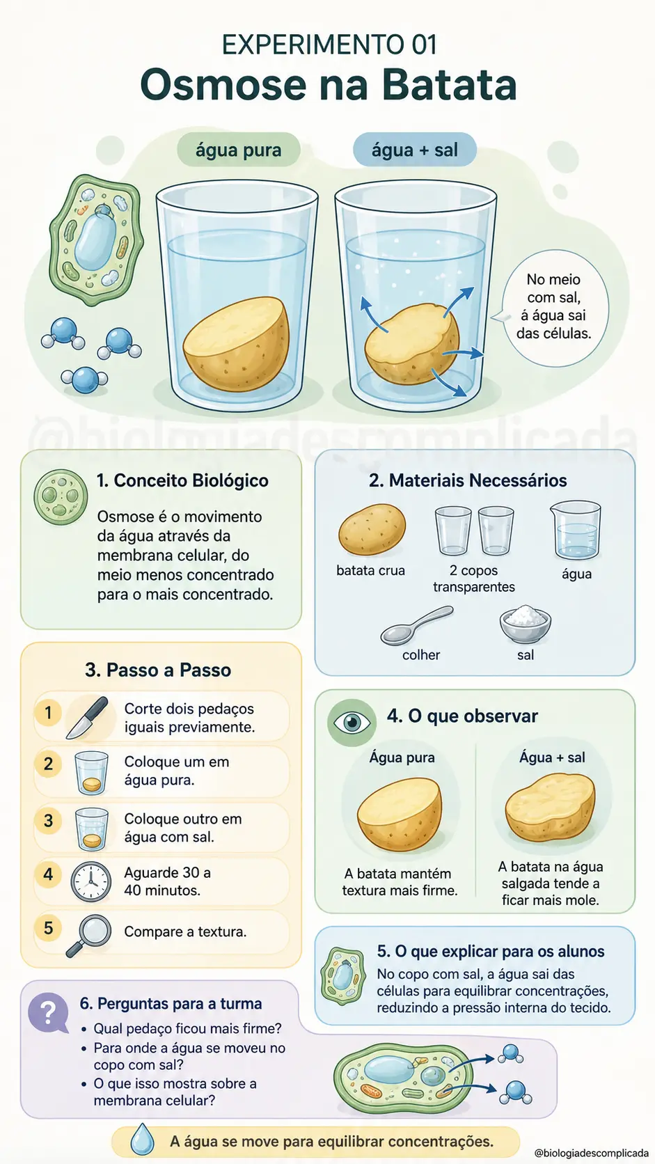 Experimento 01