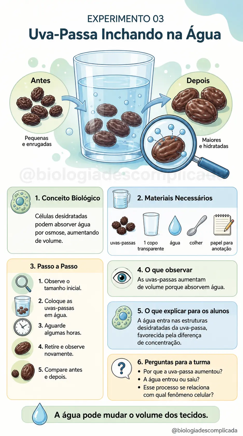 Experimento 03