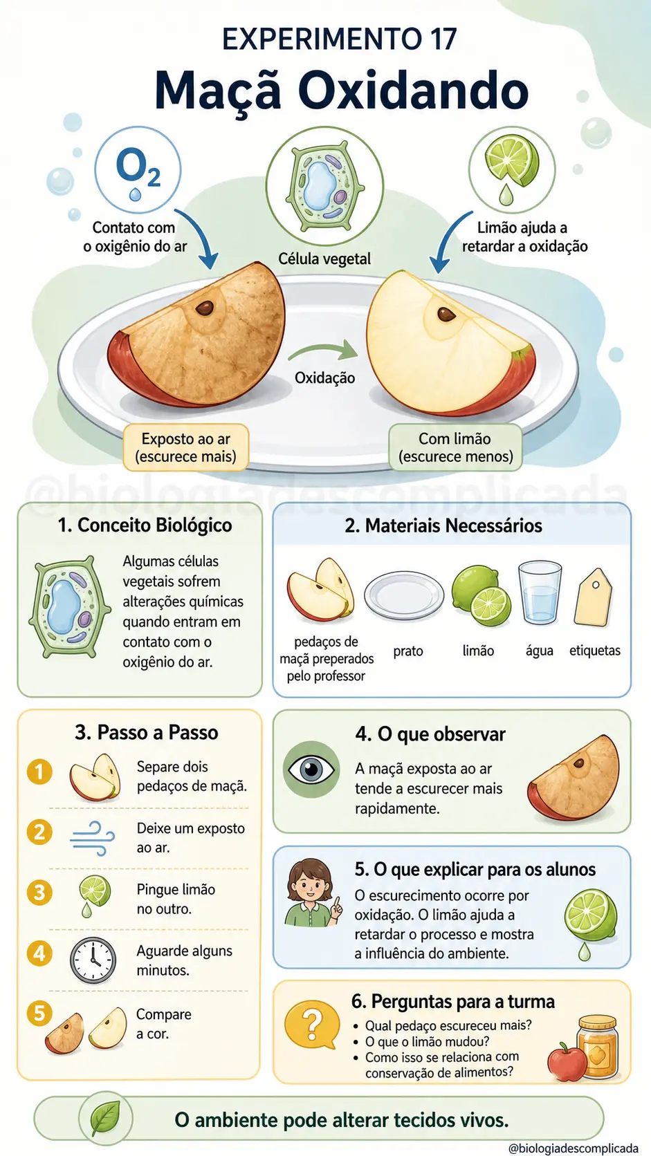 Experimento 17