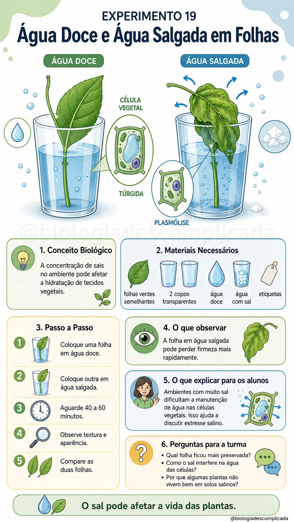 Experimento 19