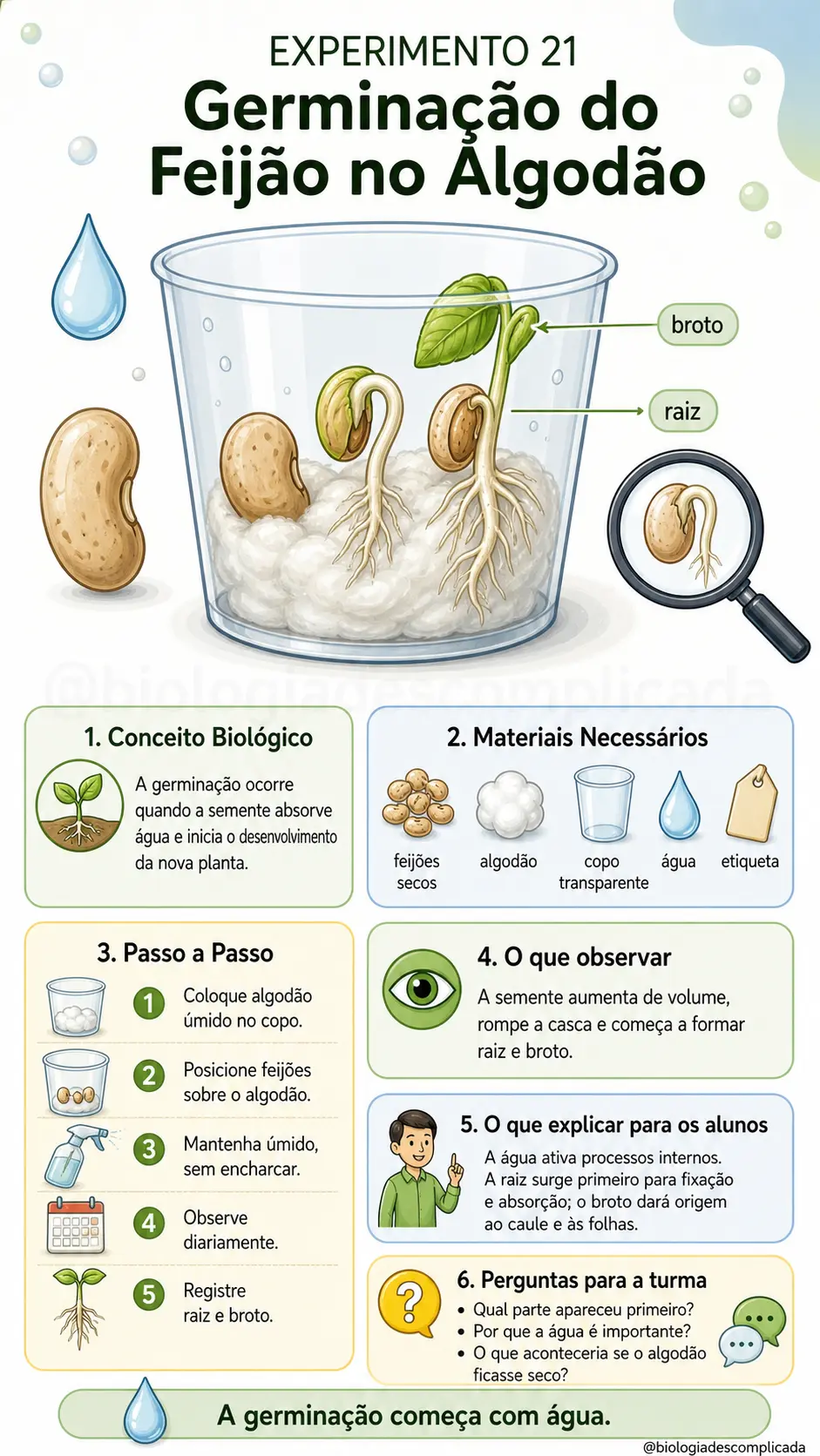 Experimento 21