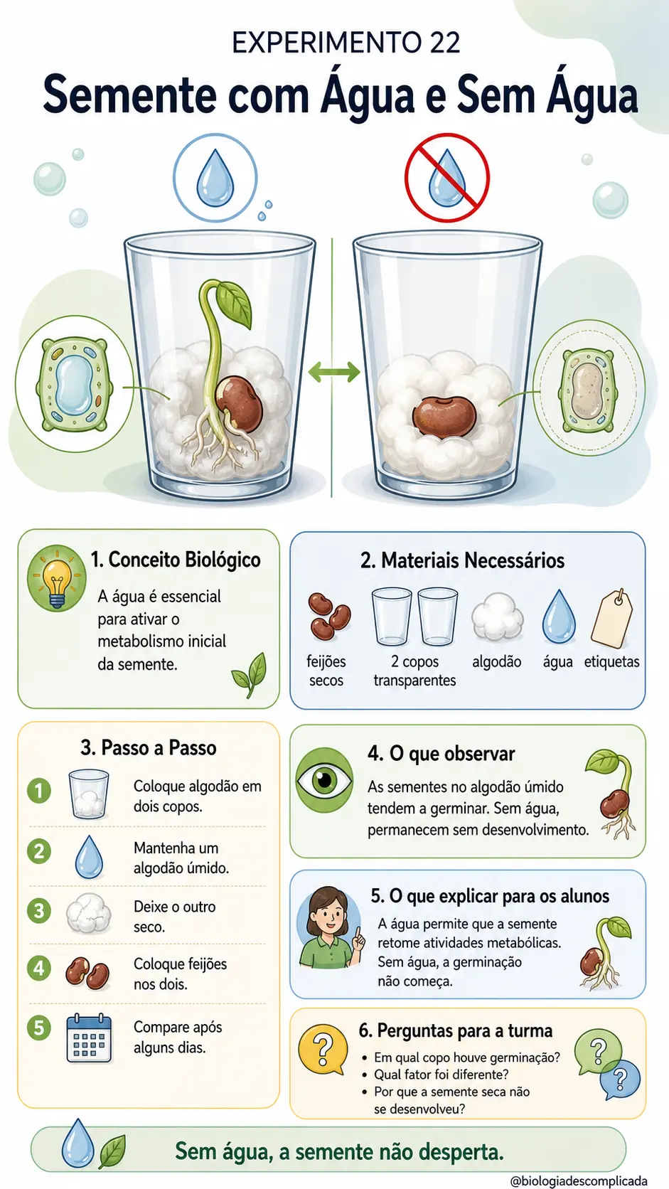Experimento 22