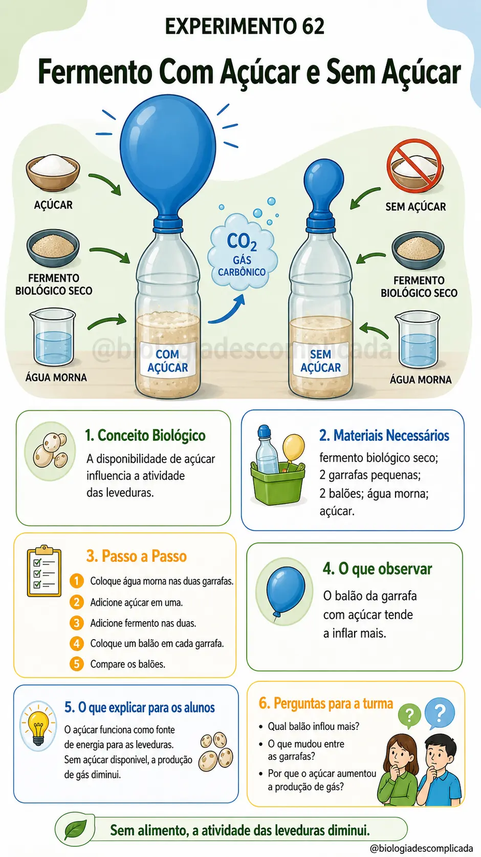 Experimento 62