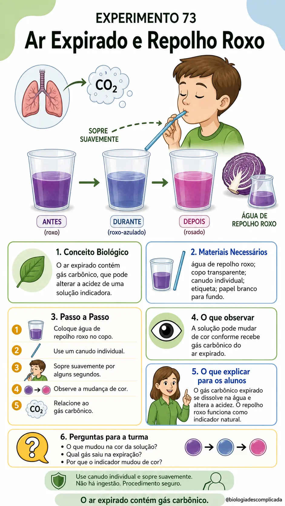 Experimento 73