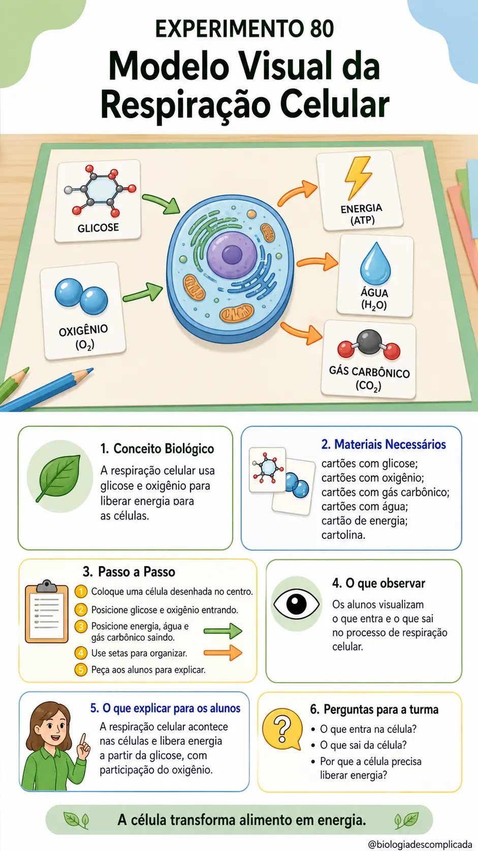 Experimento 80