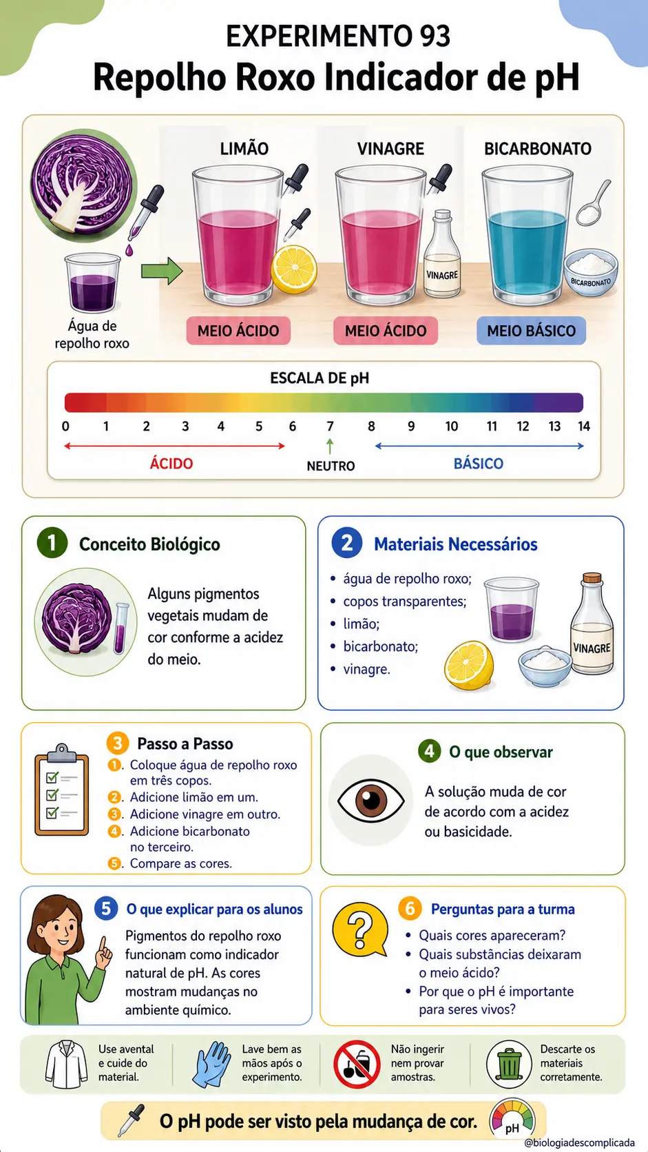 Experimento 93